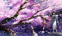 动漫樱花网,盘点热门作品与经典瞬间