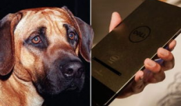 成人视频性爱直播,暗流涌动的网络世界