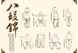 八段锦视频教学,轻松入门养生功法
